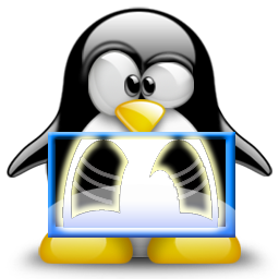 penguin pingouin pinguino 445